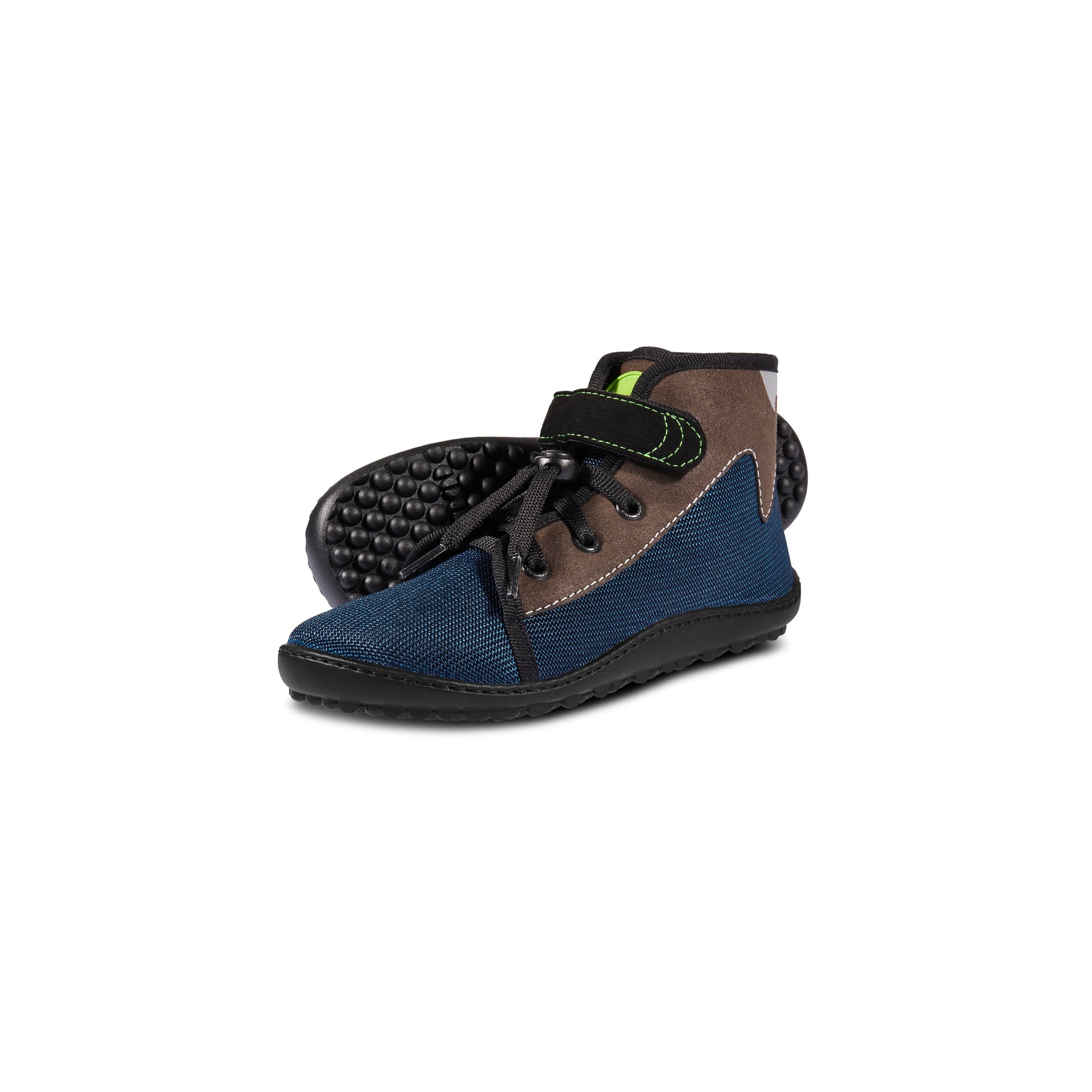 LEGUANITO Scippo blue