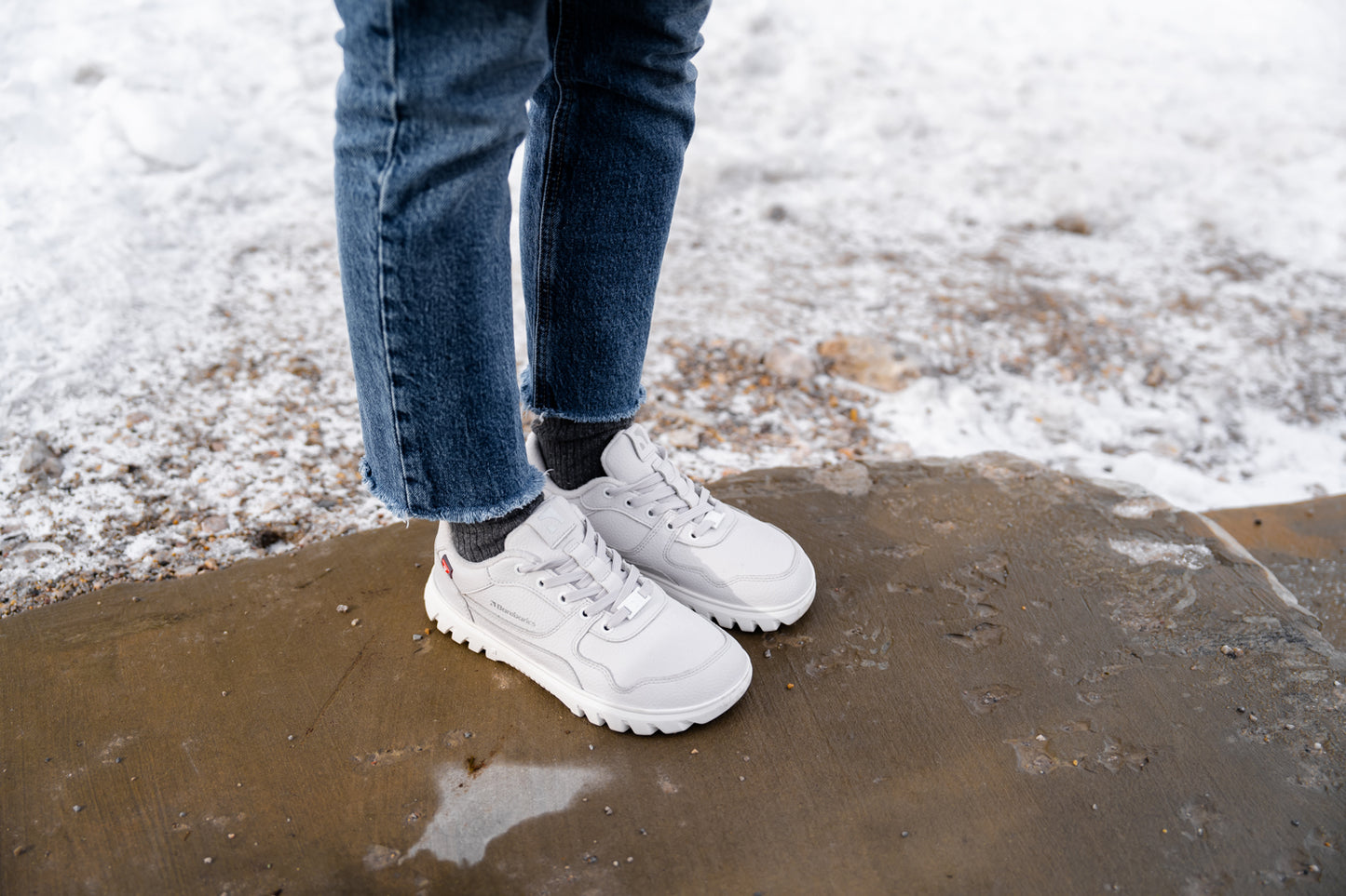 Barefoot Sneakers Barebarics Zing Frost - Light Grey & White