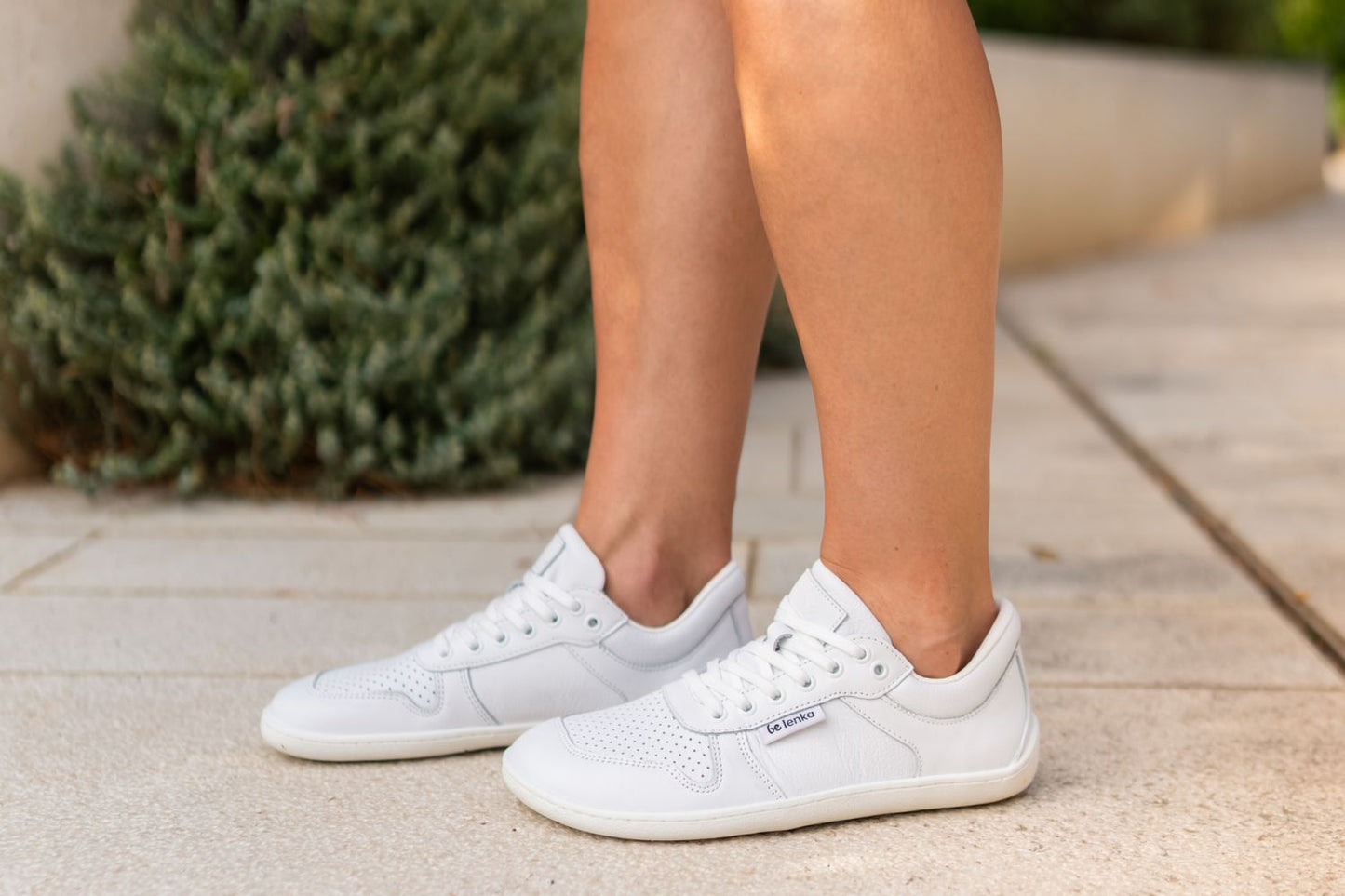 Barefoot Sneakers - Be Lenka Champ 3.0 - All White