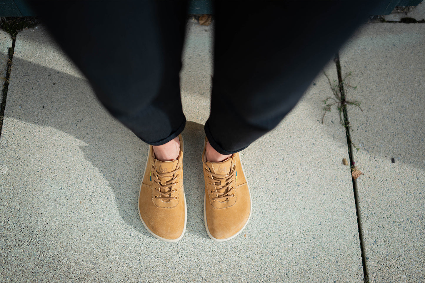 Barefoot Sneakers Be Lenka Phoenix - Camel Brown