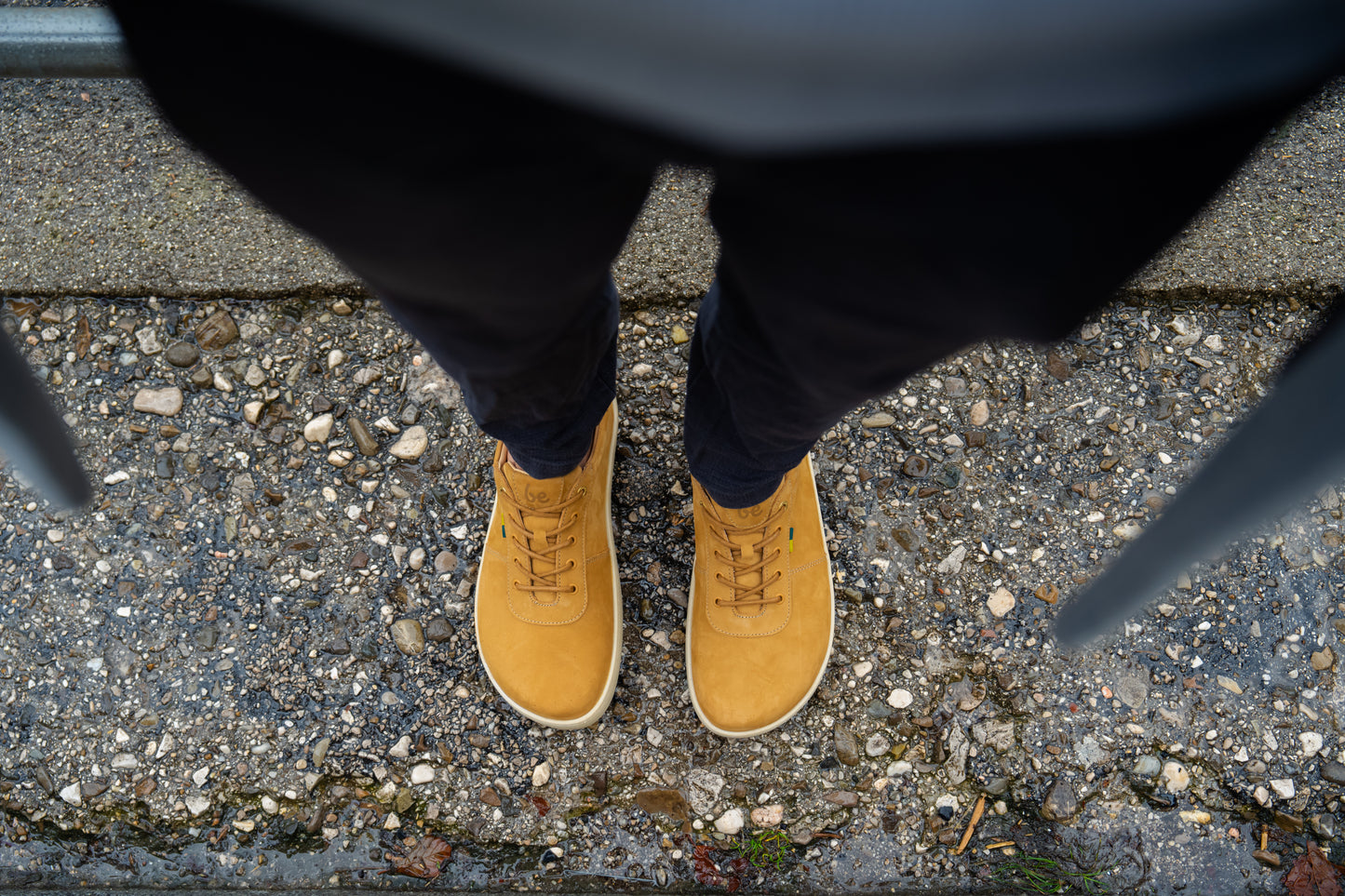 Barefoot Sneakers Be Lenka Phoenix - Camel Brown