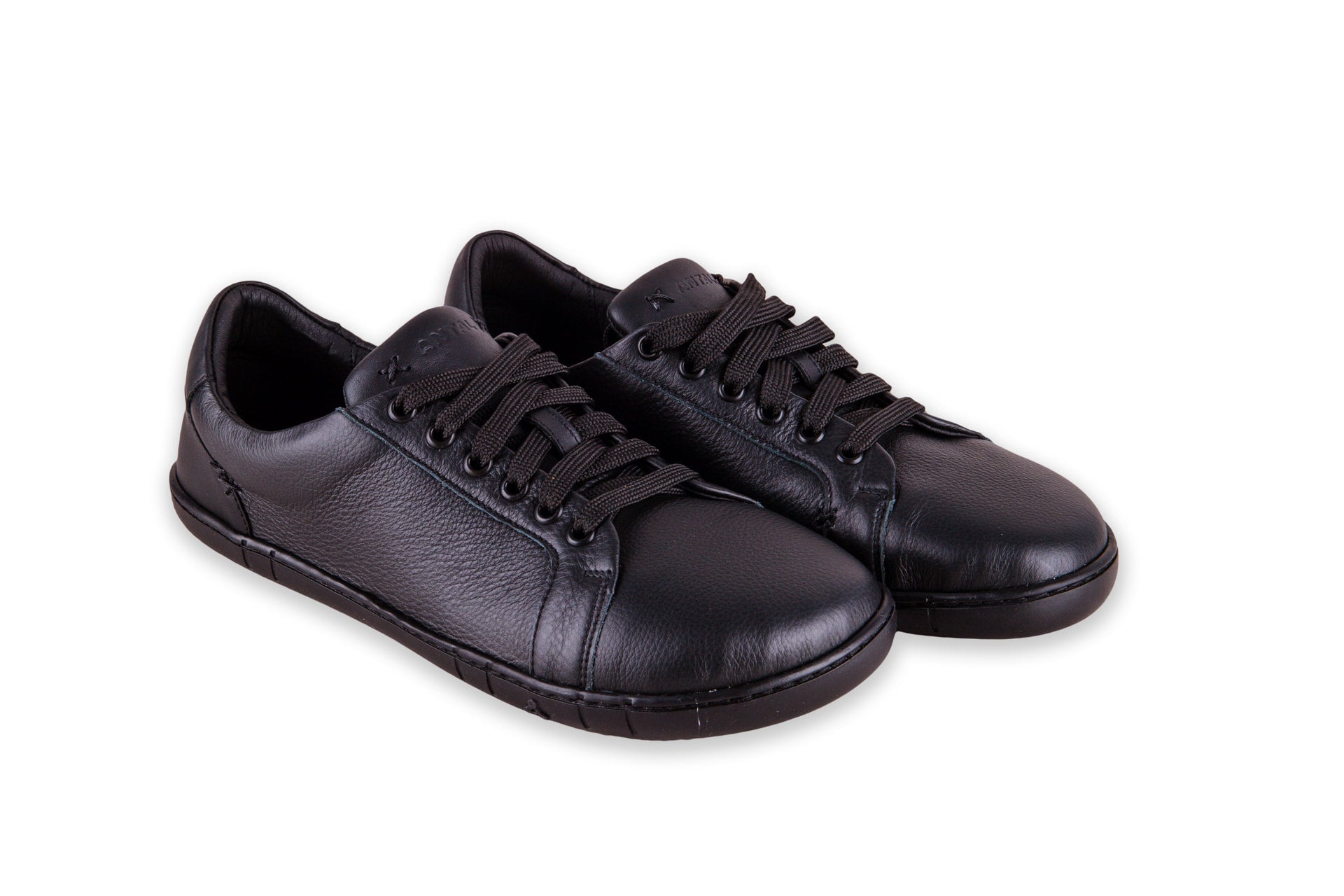 Antal Camino Black