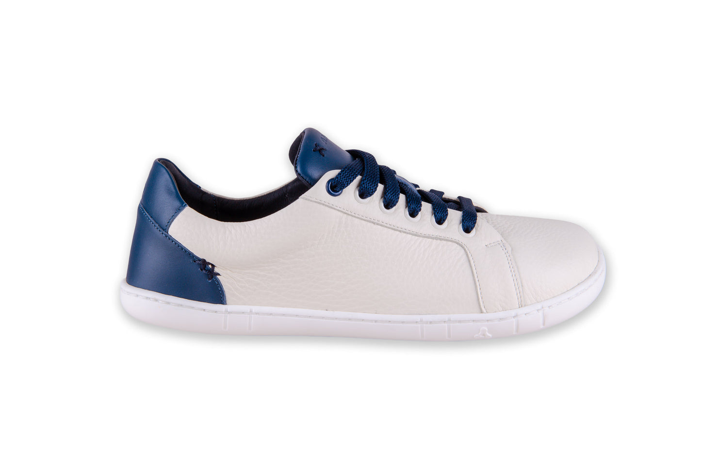 Antal Camino Blue